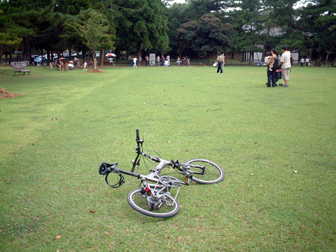 画像12