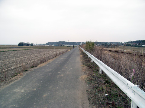 画像12
