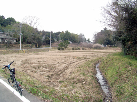 画像16