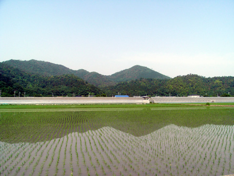 画像05