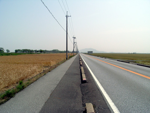 画像08
