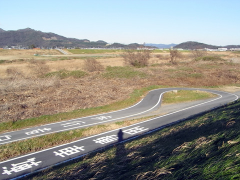 画像14