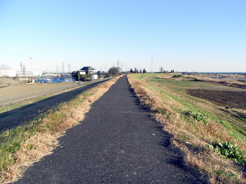 画像15
