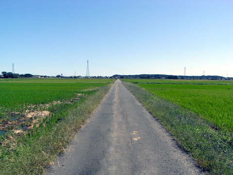 画像12