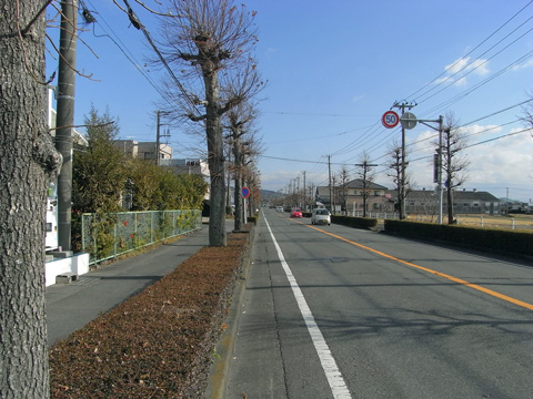 画像14