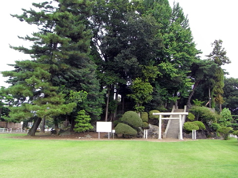 青々とした芝生に寝そべりたい(^-^; 画像10